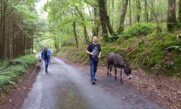 Mosses and Twister investigating the lanes with some donkey walkers